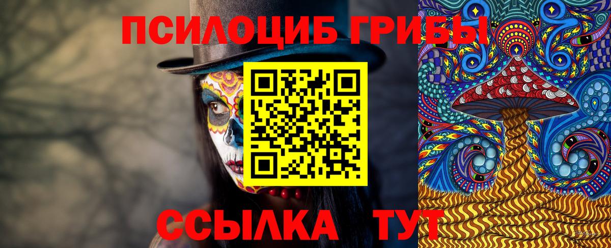 хочу наркоту  Галлюциногенные грибы Cubensis  Вход с VPN  Рассказово 